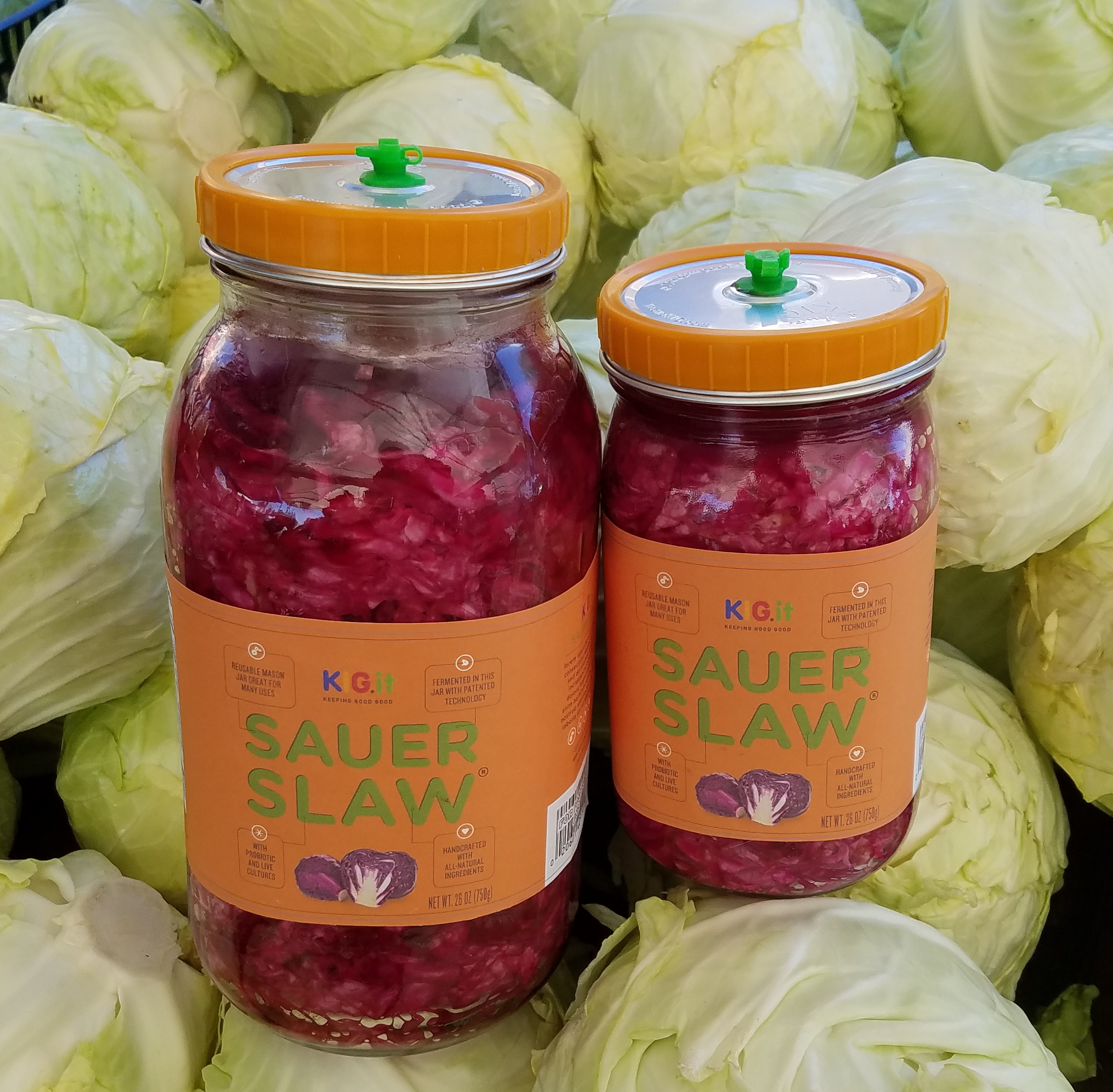 Sauer Slaw Super Salad in a jar - delicious, probiotic, healthy and no food waste project image